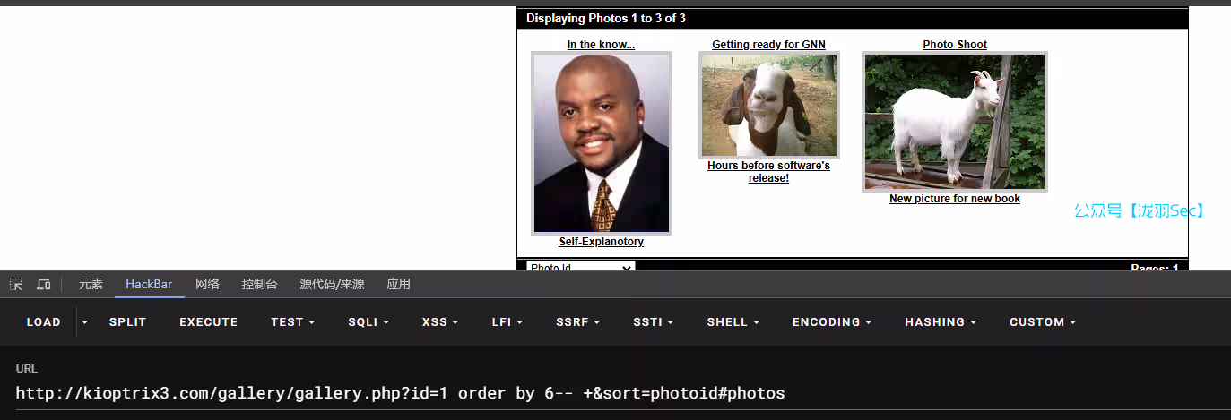 image-20241208022745704