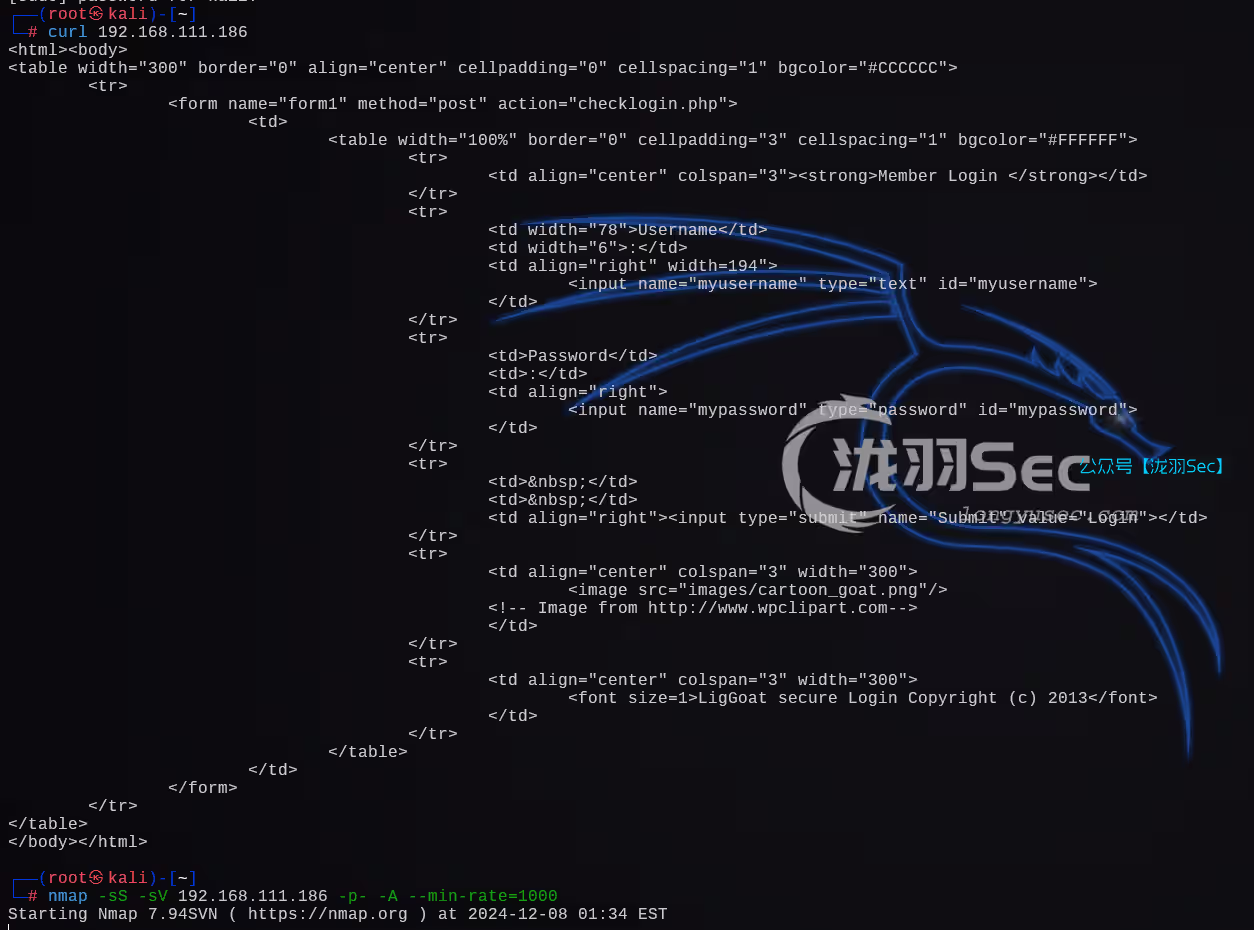 image-20241208143419261