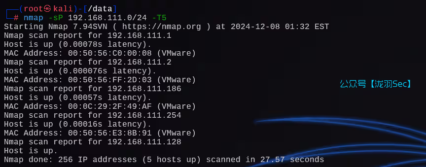 image-20241208143507606