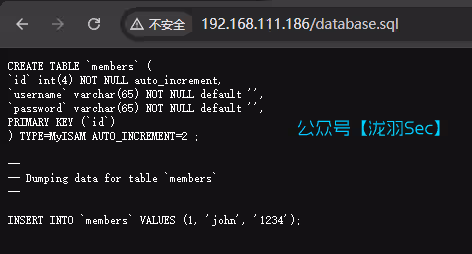 image-20241208164147044