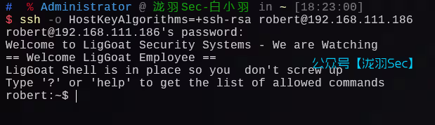 image-20241208182355790