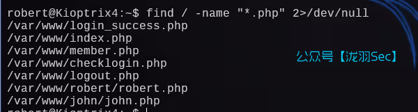 image-20241208194358047