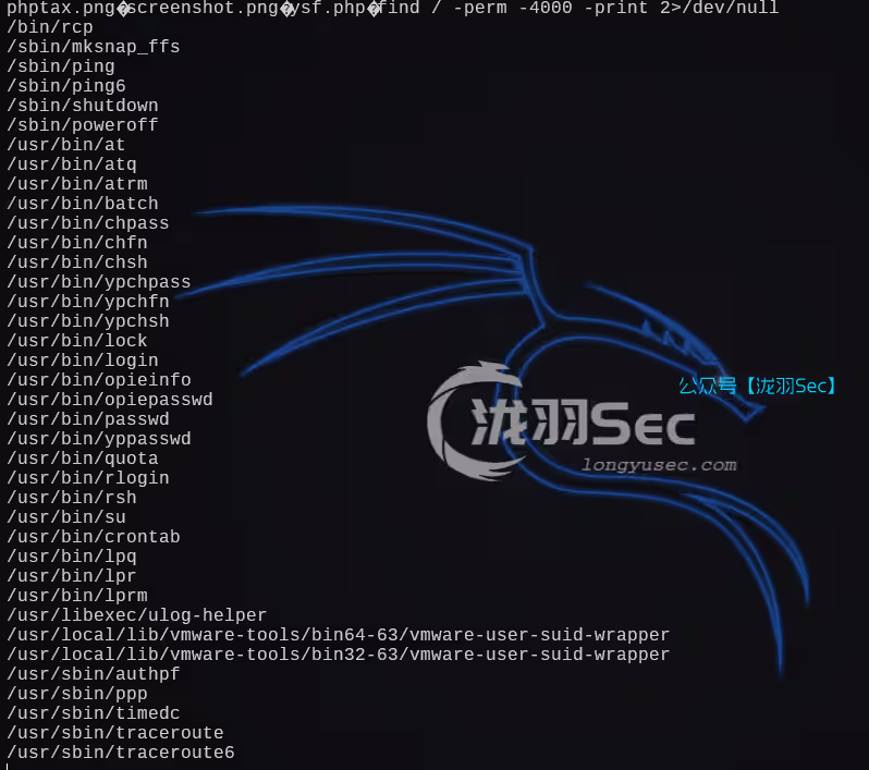 image-20241208220605749