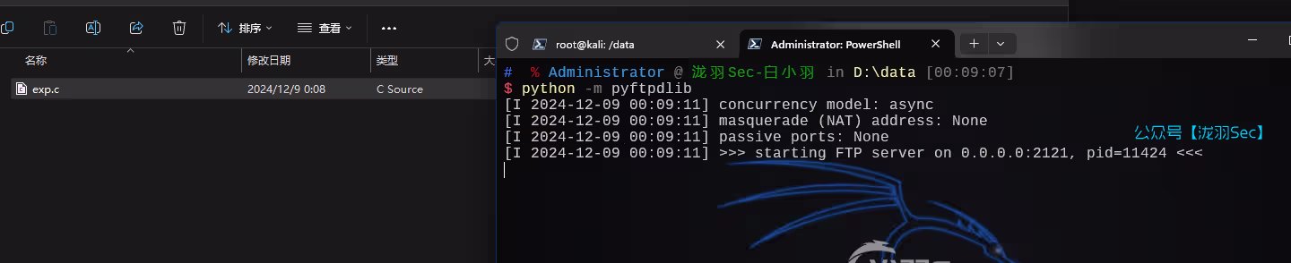 image-20241209000927590