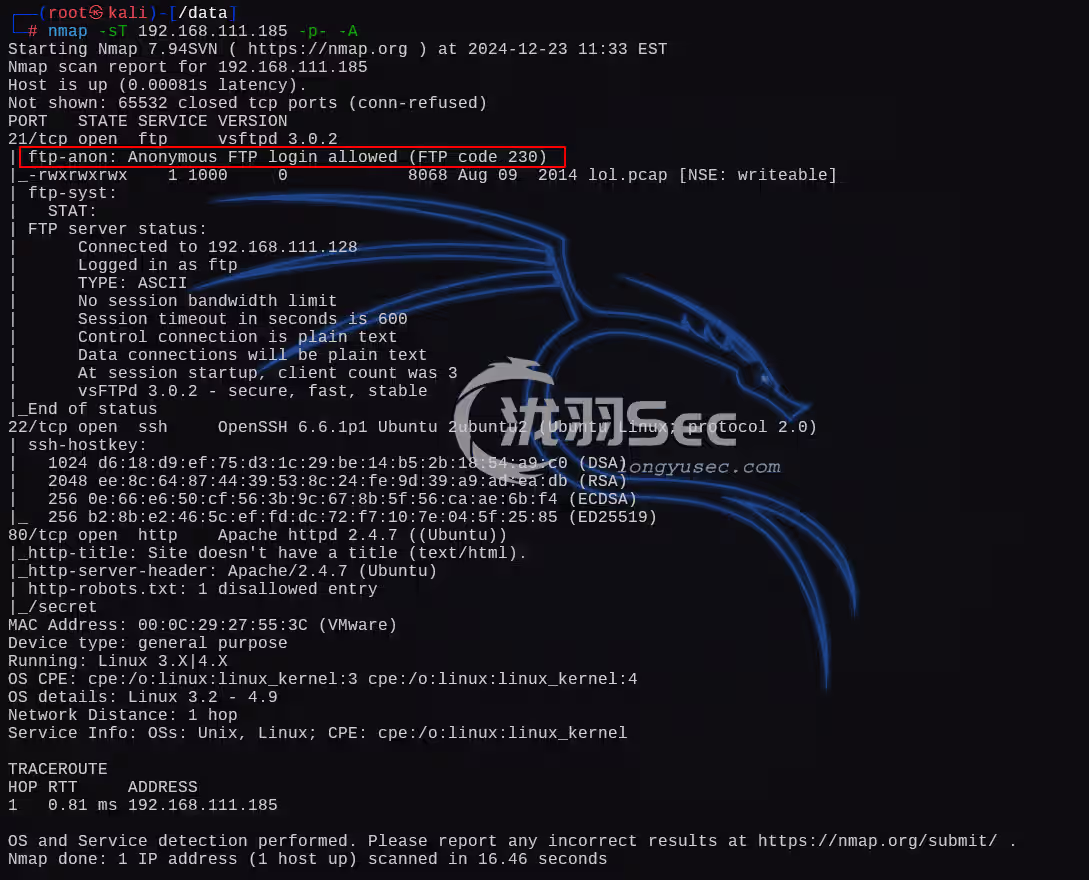 image-20241224010638152