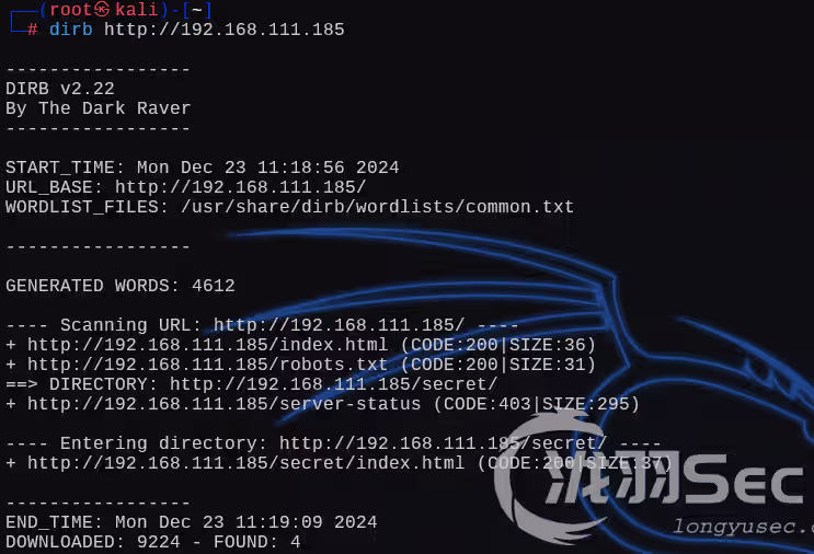 image-20241224010726794