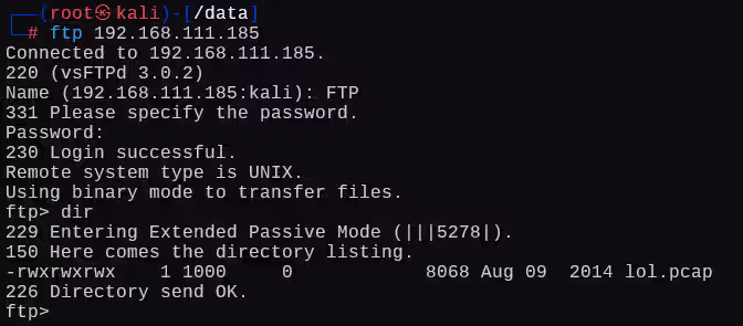 image-20241224011156563