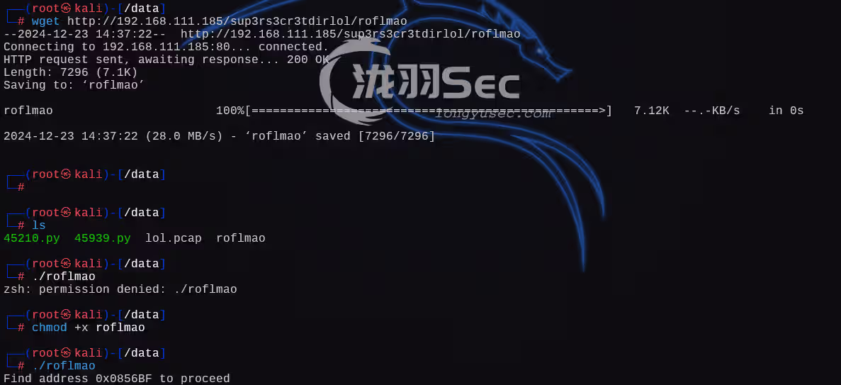 image-20241224033755376