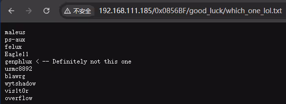 image-20241224033916868