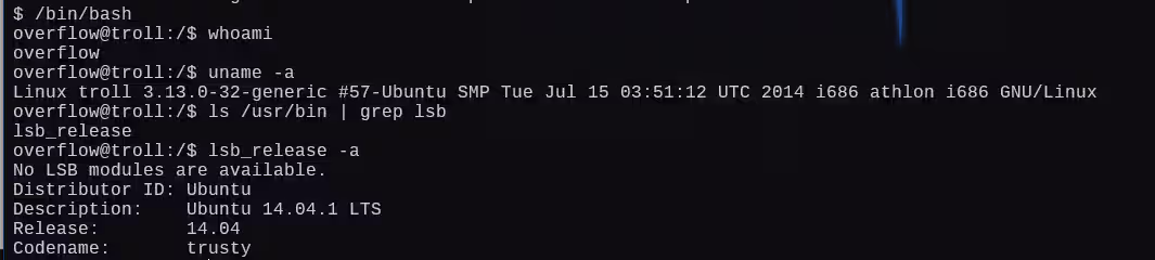 image-20241224035400124