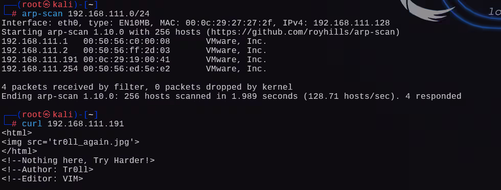 image-20241225014511262