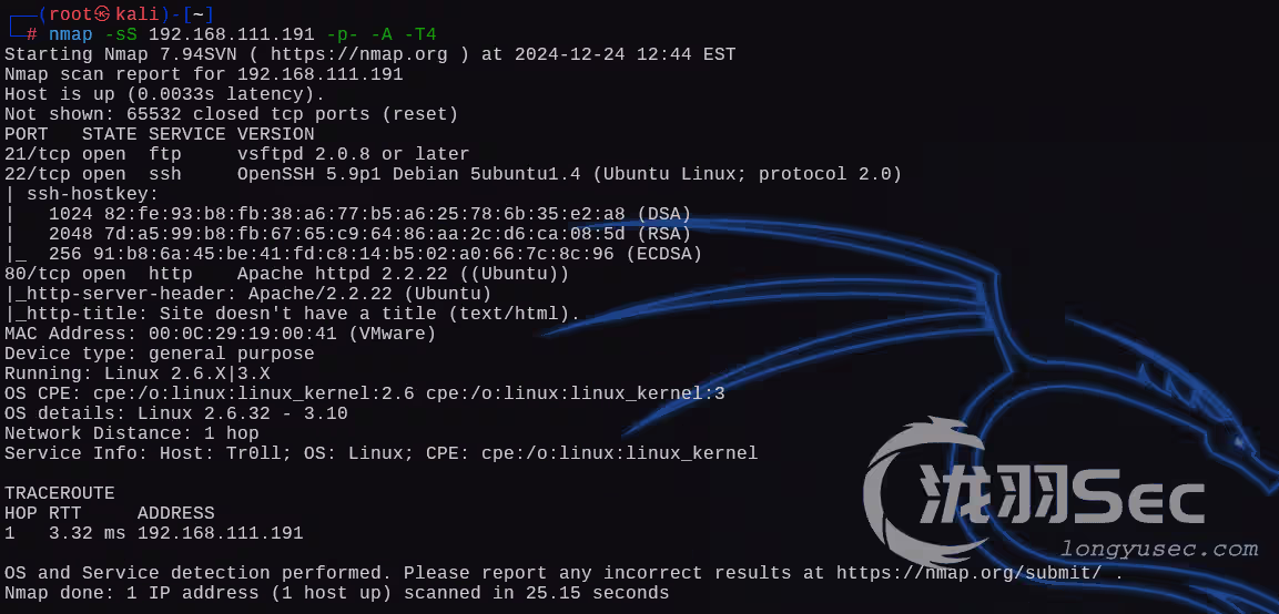 image-20241225014613626