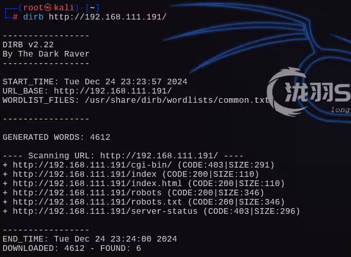 image-20241225122407532