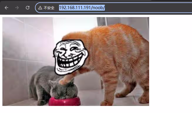 image-20241225122654010