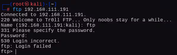 image-20241225123442524