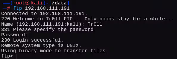 image-20241225124411431