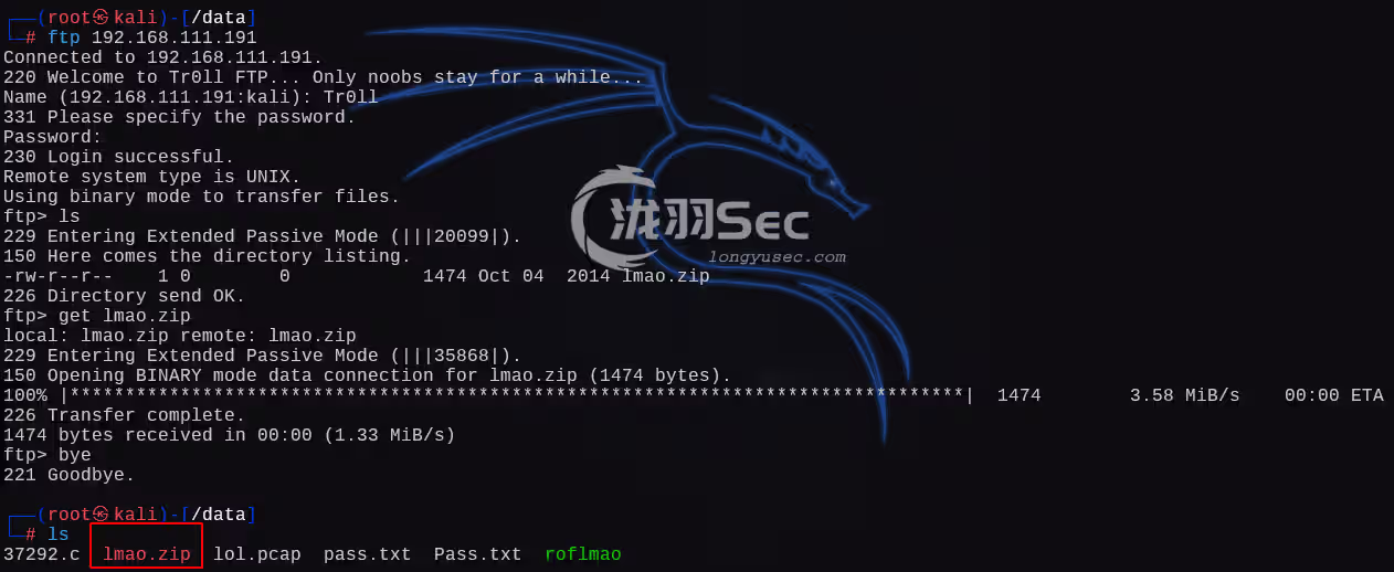 image-20241225124502060