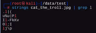 image-20241225184921945