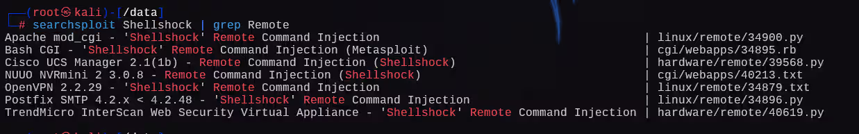 image-20241225223637899