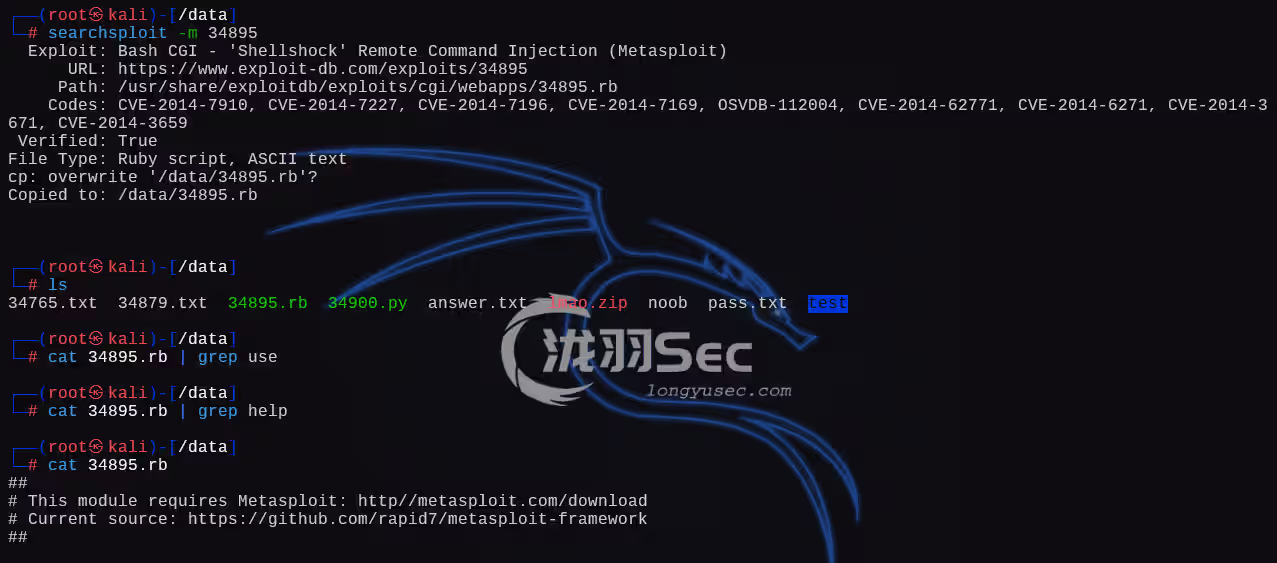 image-20241225233113901