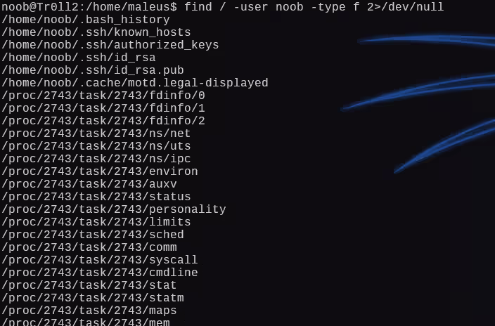 image-20241226002726350