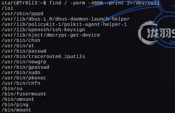 image-20241228194938106