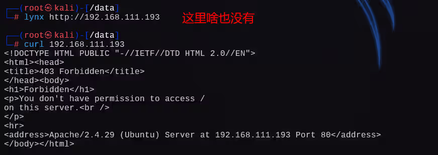 image-20250103014715162