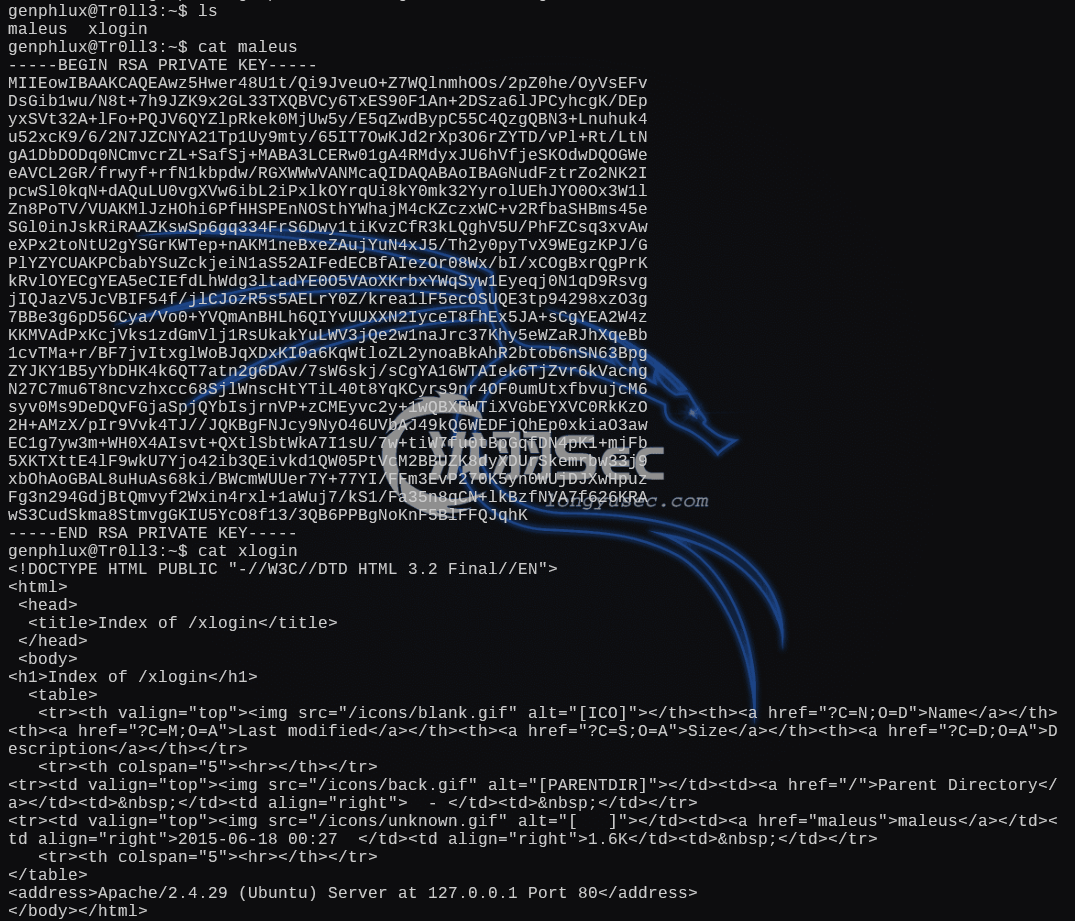 图片[125]-Tr0ll系列提权教程，Tr0ll 靶机全系列（1-3）-泷羽Sec