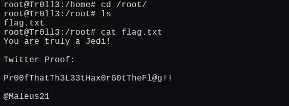 image-20250103021450072