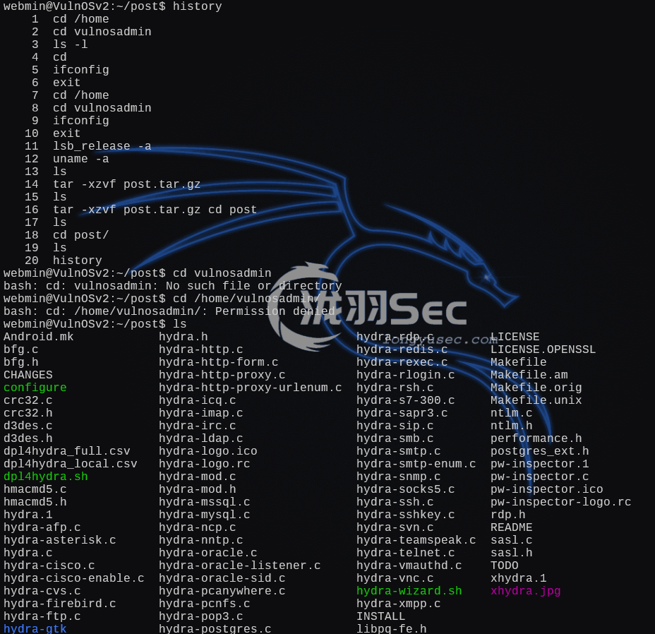 image-20250104015628904