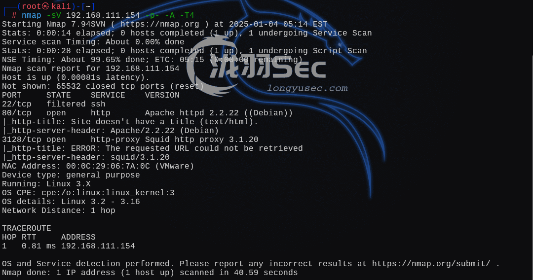 image-20250104181539375