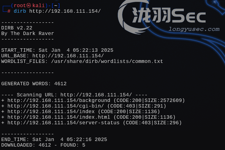 image-20250104182240635