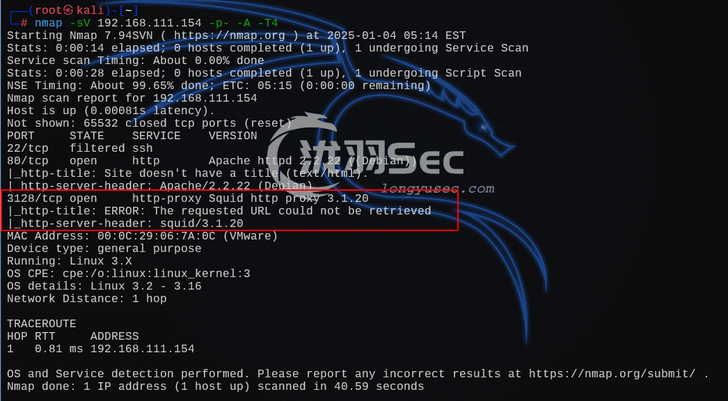 image-20250104190617338