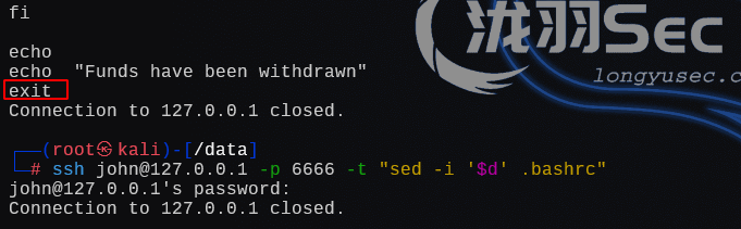 image-20250104192936884