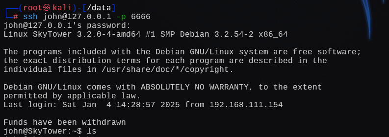 image-20250104193209423