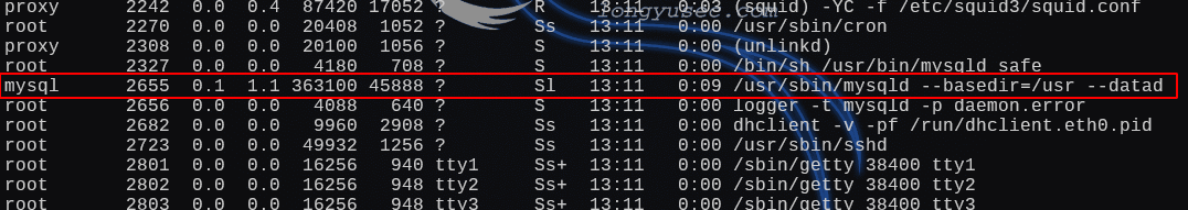 image-20250104194633556