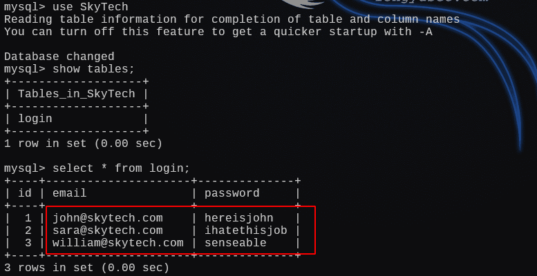 image-20250104194908236