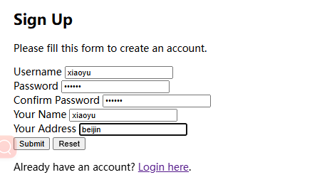 image-20250105232739125