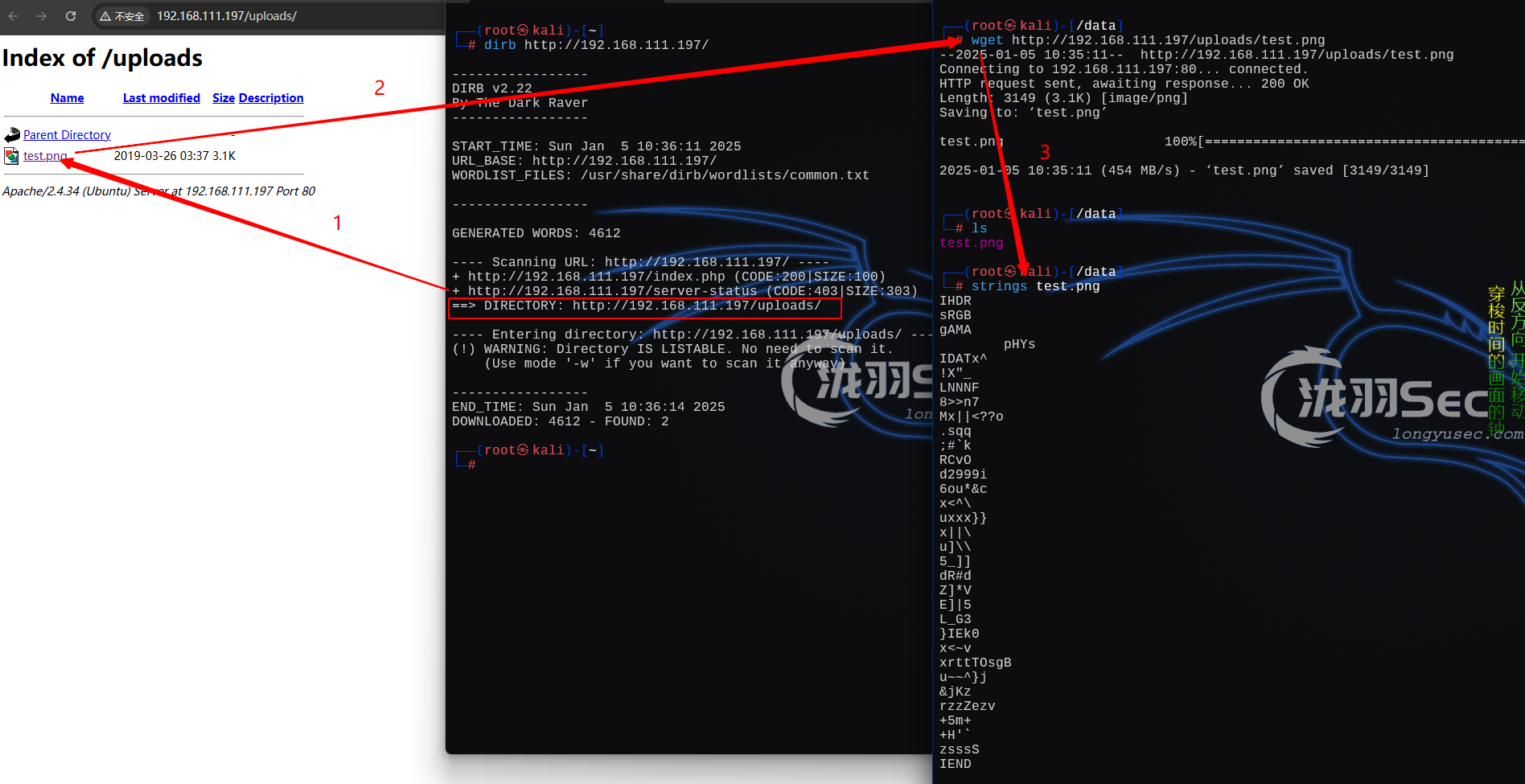 image-20250105233731491