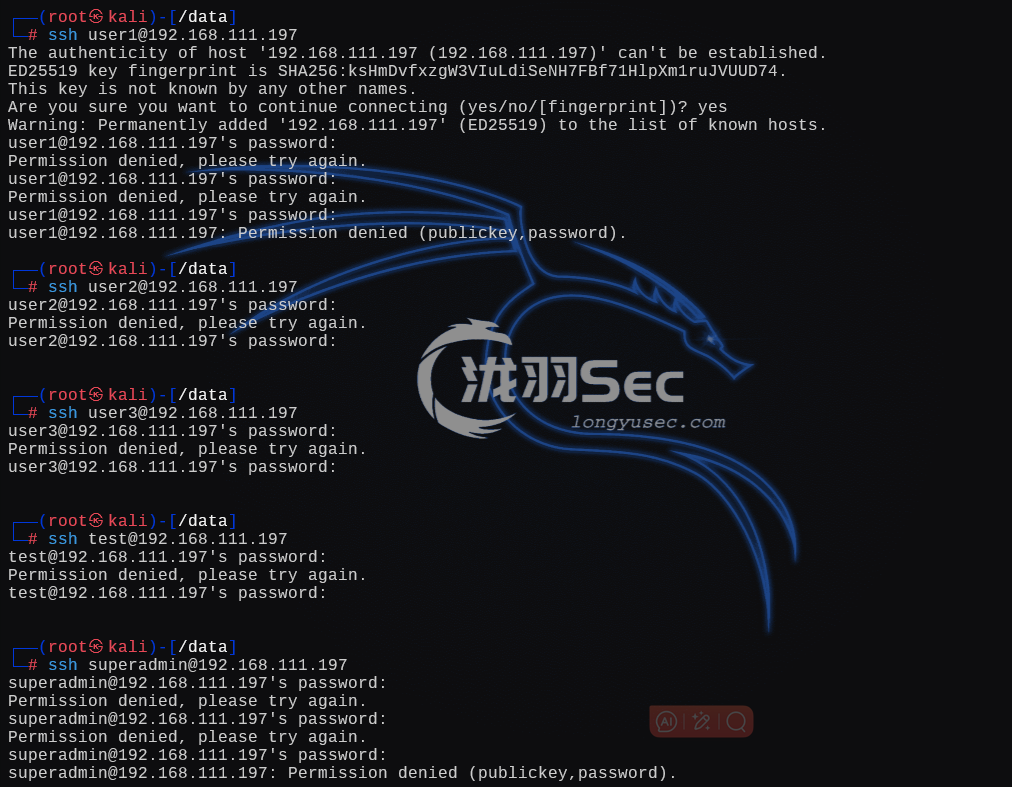 image-20250106010113129