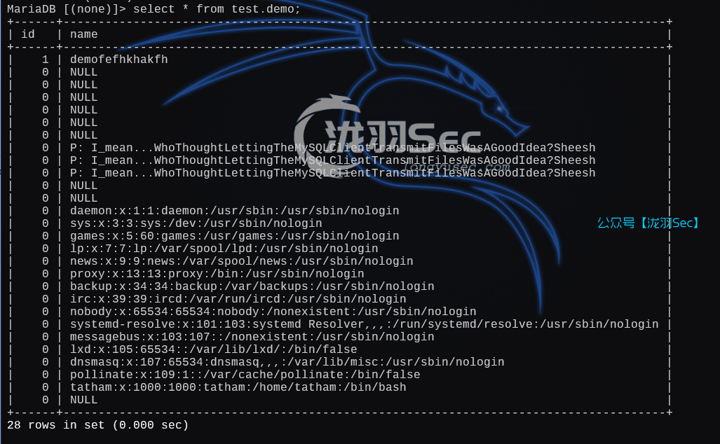 image-20250107144239842